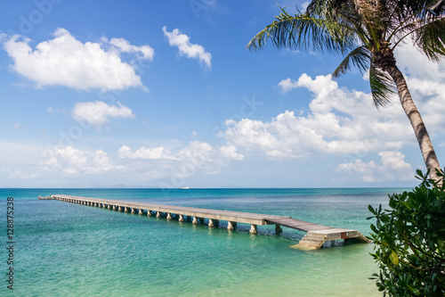 Green sea, pier and palm leaves on a tropical island