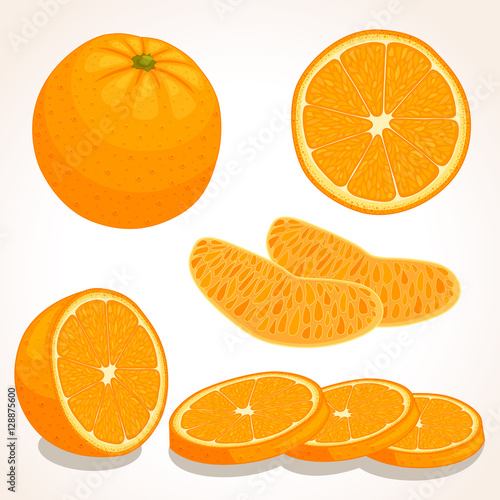 Set of vector orange. Whole, sliced, half of a orange fruit isolated on white background. Vector illustration.