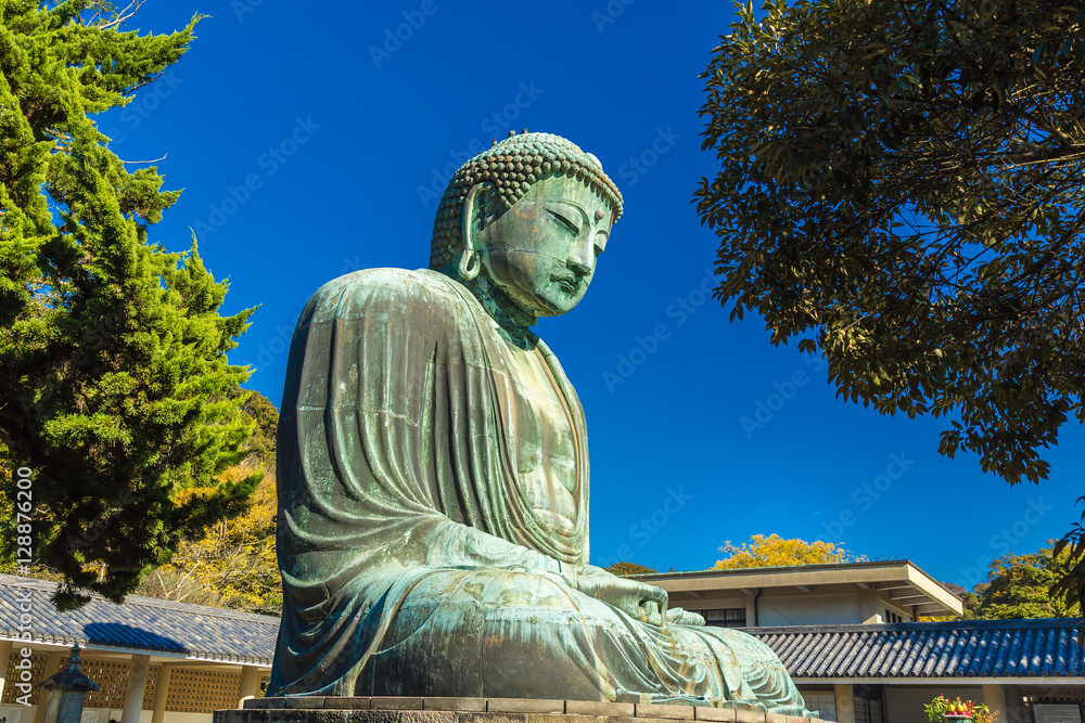 The Great Buddha in Kamakura. Located in Kamakura, Kanagawa Prefecture Japan.There are pigeon to Buddha's head. The Great Buddha in Kamakura. Located in Kamakura, Kanagawa Prefecture Japan.There are pigeon to Buddha's head.