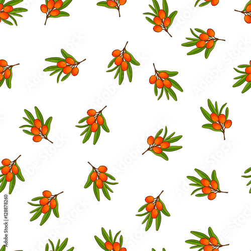 Nice seamless pattern made of hand drawn seaberry branches.