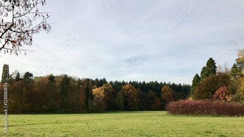 Herbstliches Panorama Wiese und Wald