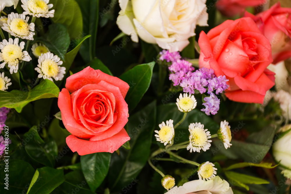 Naklejka premium Rose