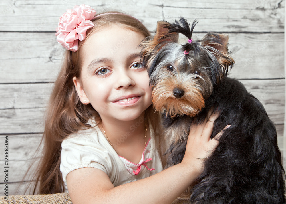 Girl with puppy of breed Yorkshire Terrier Girl with puppy of breed Yorkshire Terrier