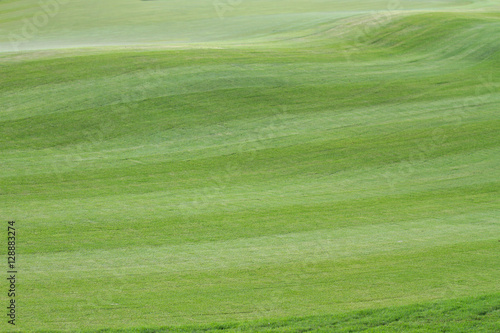 Patterned grass on the golf course © topgunza