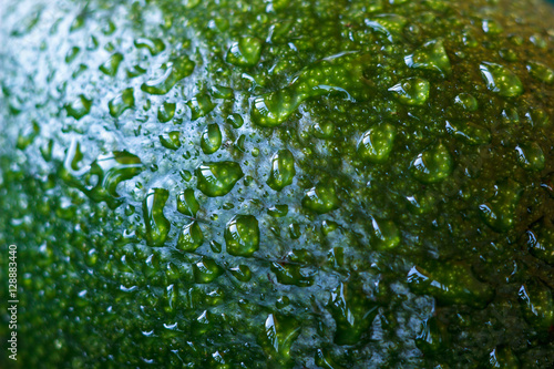 macro water drops on green avocado