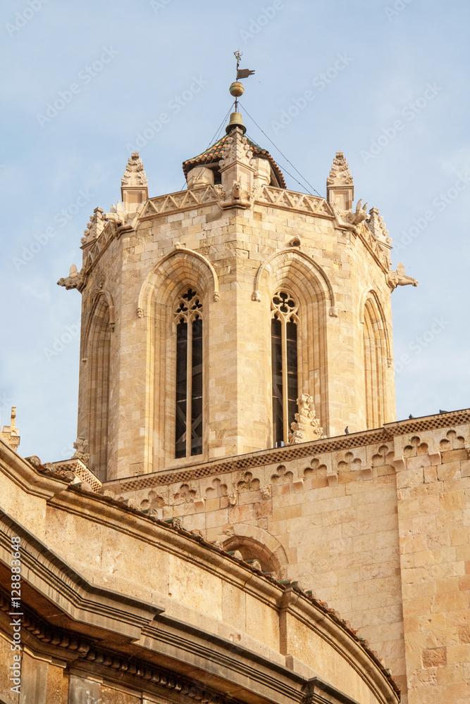 Dôme de la cathédrale Sainte Thècle, Tarragone, Catalogne, Espagne