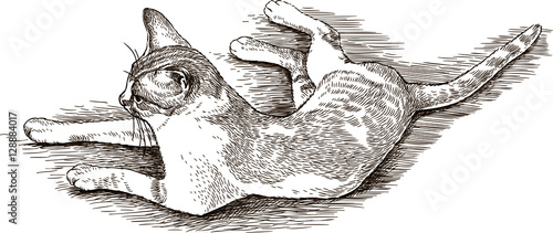 sketch of a lying cat