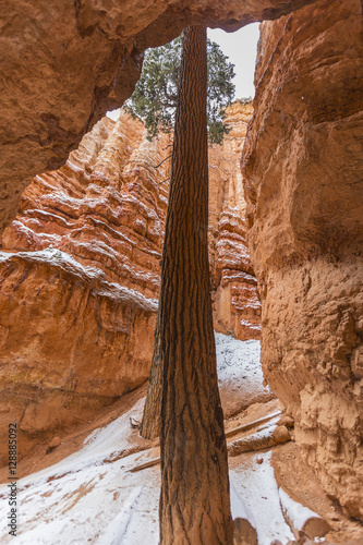 Bryce Canyon National Park ...