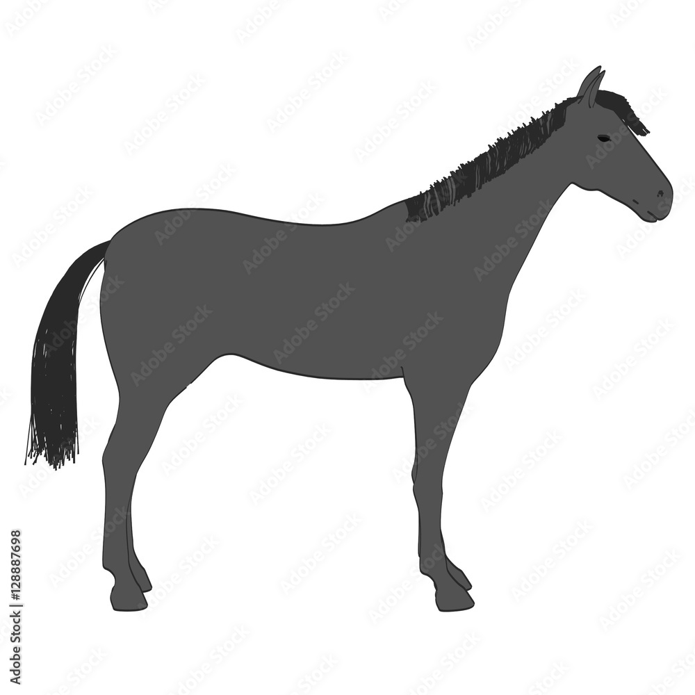 2d cartoon illustration of horse