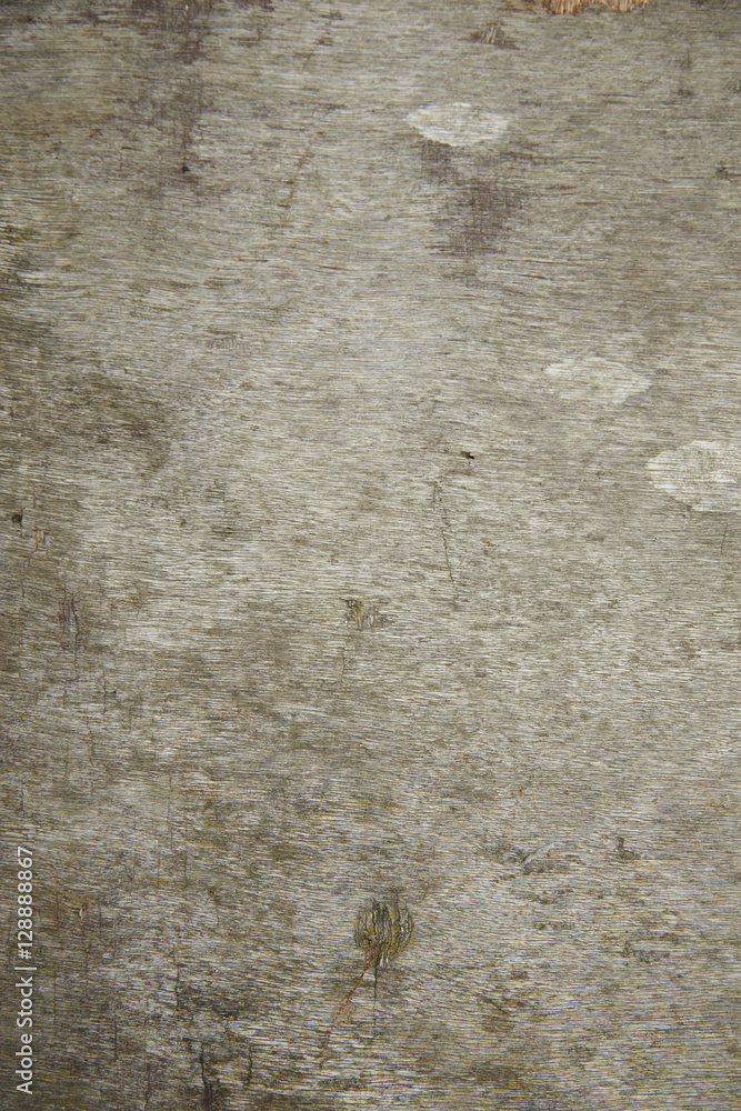 A whole page of wooden background texture A whole page of wooden background texture