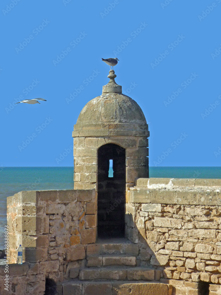 Maroc, Ville de Essaouira Maroc, Ville de Essaouira