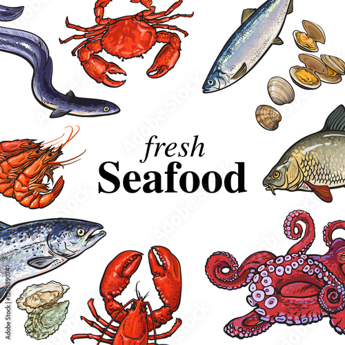Colorful seafood banner, poster design with place for text, sketch vector illustration. Banner, poster, card, print layout design with hand drawn crab lobster eel salmon octopus squid shrimps mussels