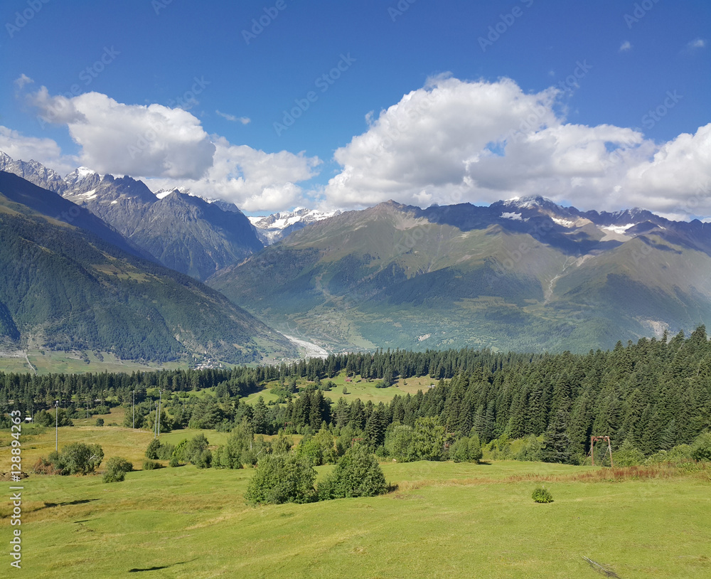 Blue sky, mountain and meadow with tree.