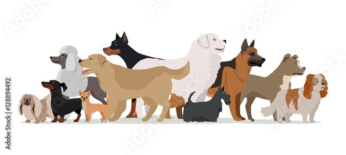 Group of Different Breeds Dogs.