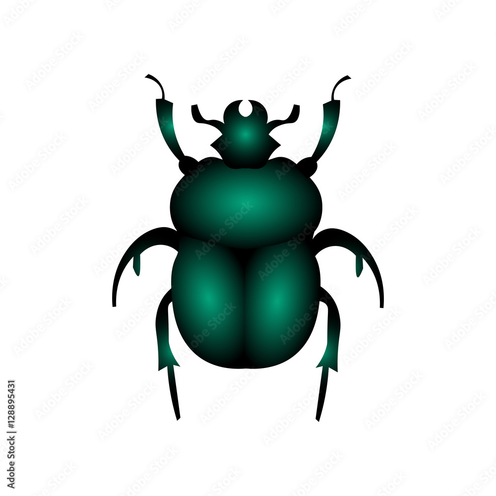 Beetle vector illustration isolated on a white background Beetle vector illustration isolated on a white background