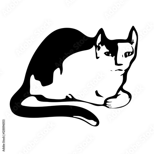 Silhouette of a cat.