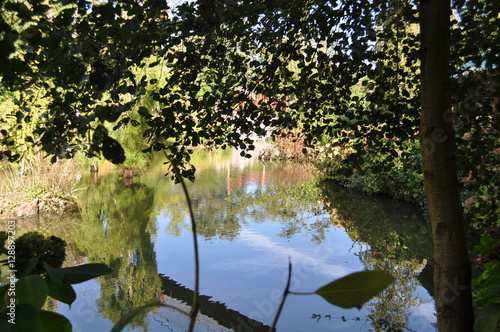 Lac