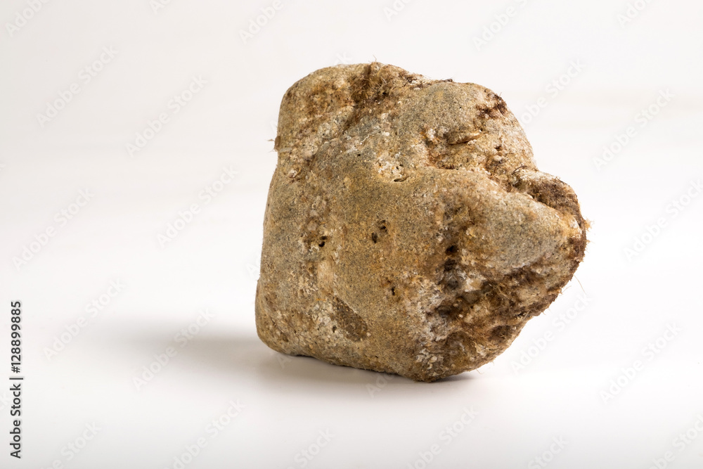 Stone Stone