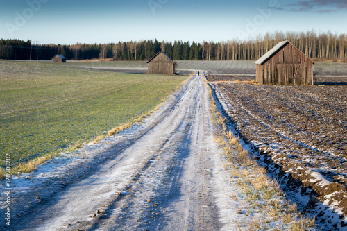 Narrow road in the middle of snowy fields photo