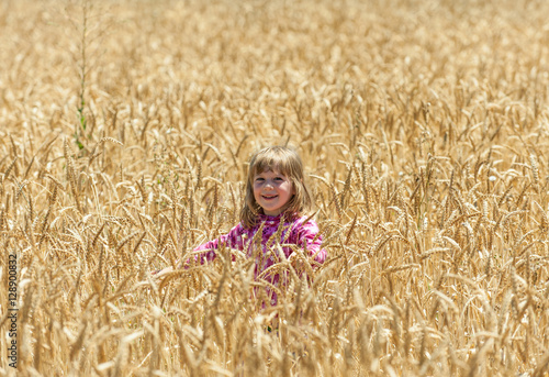 Young girl in the wheat field photo