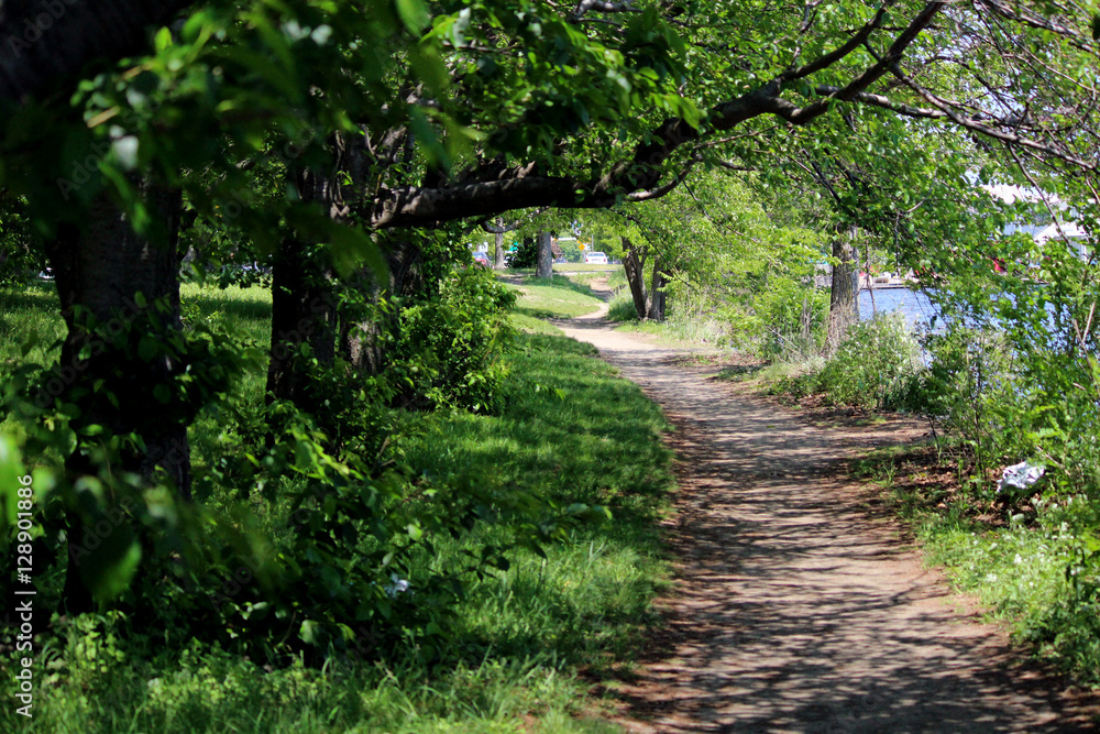 Winding path in forest on Memorial Drive in Cambridge