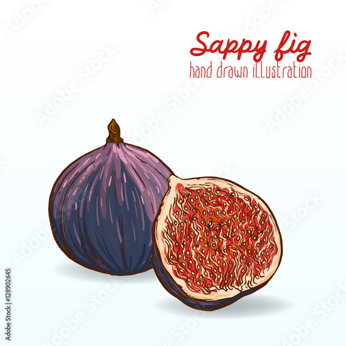 Colorful vector illustration of ripe and tasty fruit.