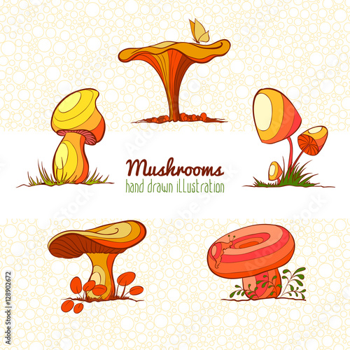 Set of hand drawn vector illustration of edible mushrooms.