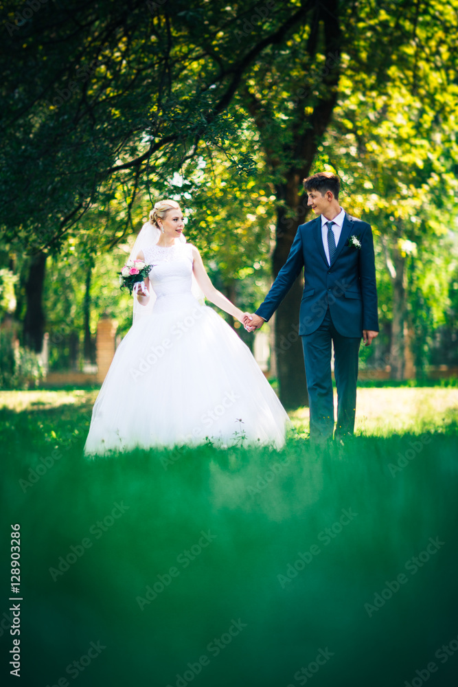 portrait the bride and groom on the background of the park alley portrait the bride and groom on the background of the park alley