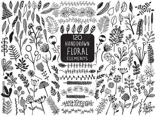 Hand Drawn vintage floral elements