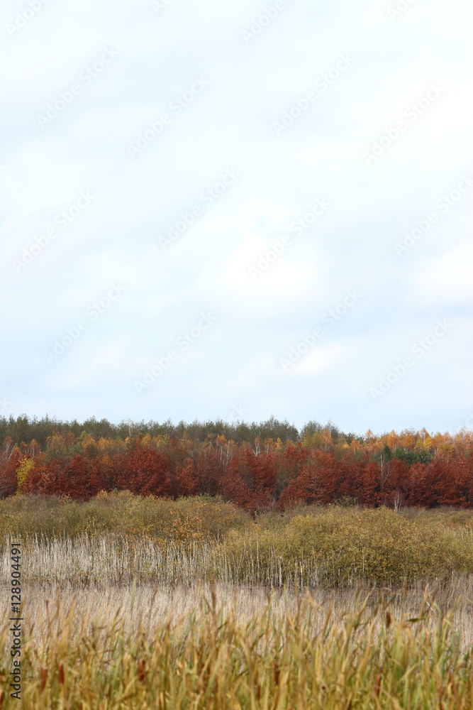 Jesień na polach