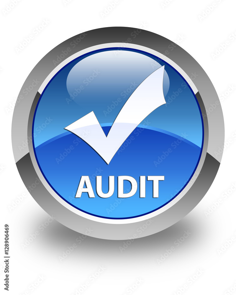 Audit (validate icon) glossy blue round button Audit (validate icon) glossy blue round button
