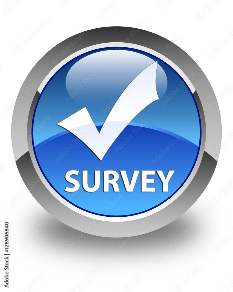 Survey (validate icon) glossy blue round button Survey (validate icon) glossy blue round button