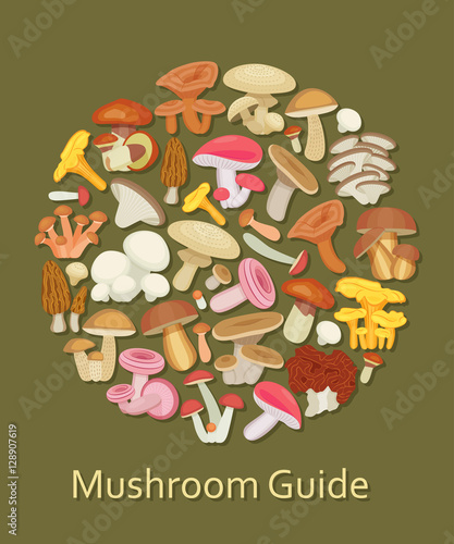 Edible mushroom set. Flat icons. Round background. Vector illustration.