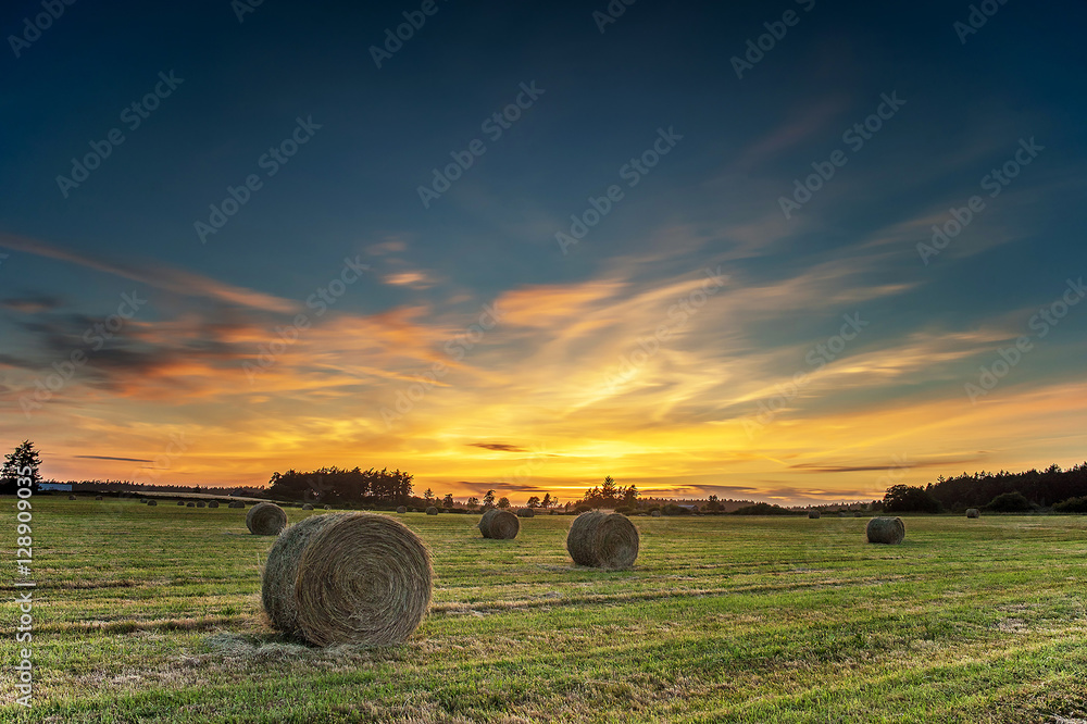 Round Hay Bales in a Field at Sunset