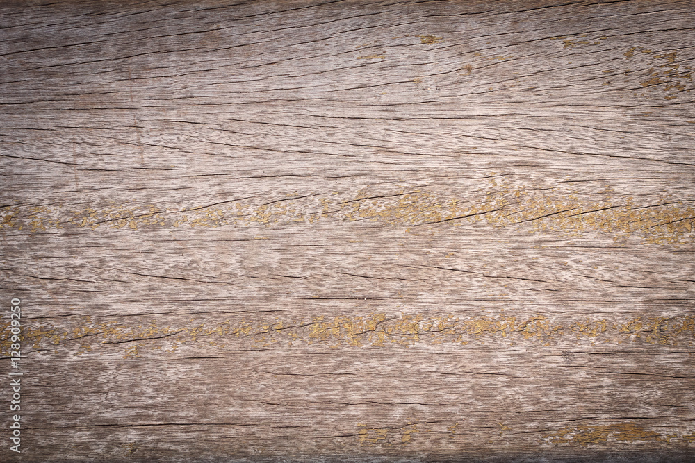 Wood texture background for interior or exterior design with copy space for text or image. Wood texture background for interior or exterior design with copy space for text or image.