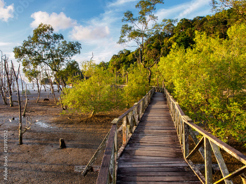 Bako national park, Borneo, Malaysia