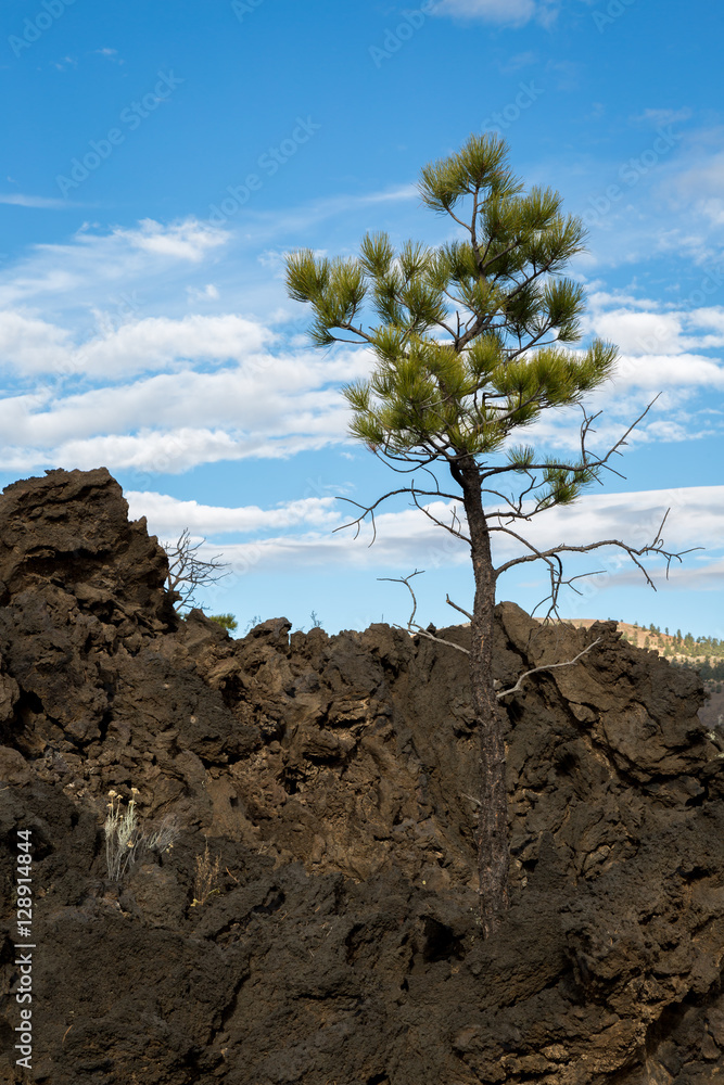 Fototapeta premium Sunset Crater in Arizona