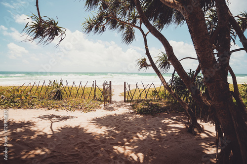 ocean tropical beach and palms