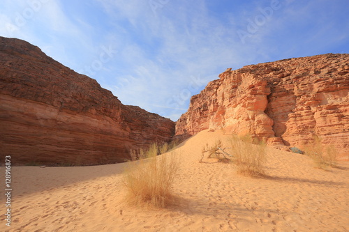 Canyon in the desert in Egypt