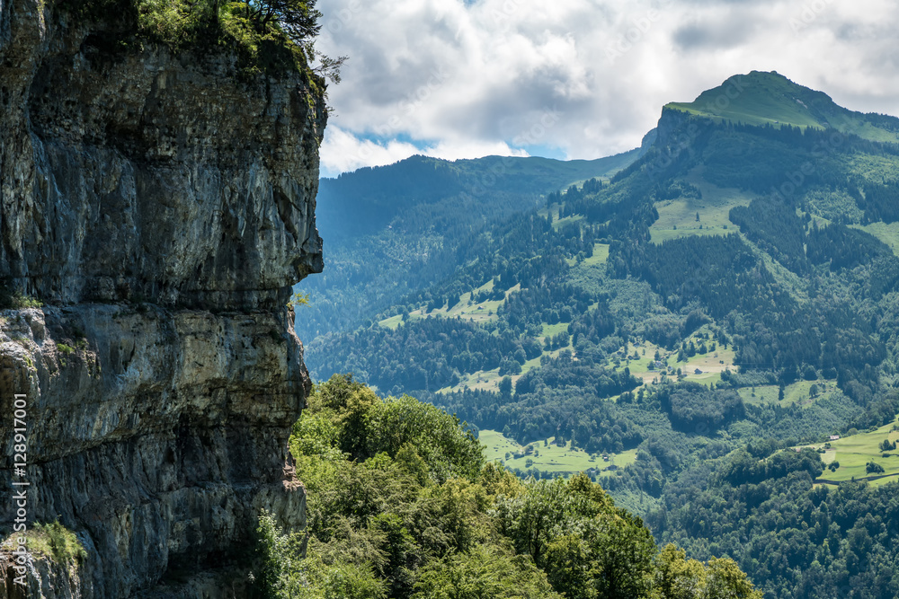 Landscape of the Swiss mountains showing the rocks and forest