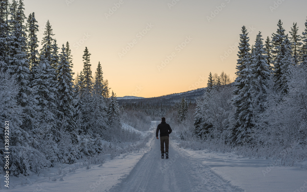 Man running on skis  into peaceful sunset in the snow covered forest