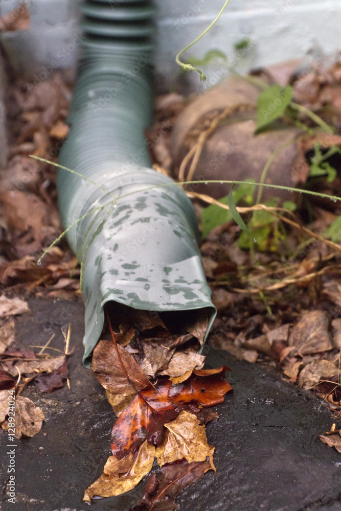 Rain Gutter Clogged With Colorful Leaves