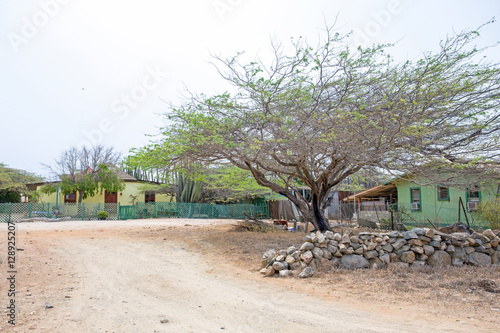 Traditional arubean houses in the cunucu on Aruba island in the photo