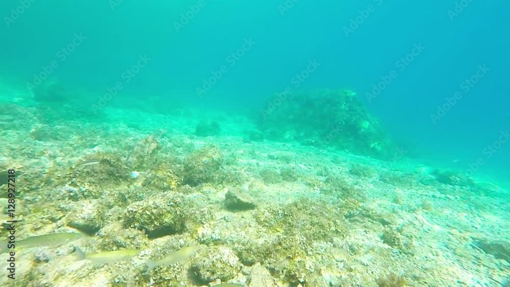 Under water Under water