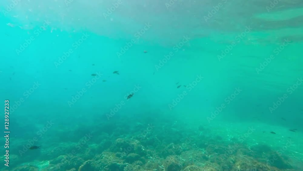 Under water Under water