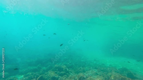 Wallpaper Mural Under water Torontodigital.ca