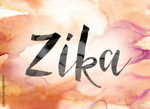Zika Colorful Watercolor and Ink Word Art