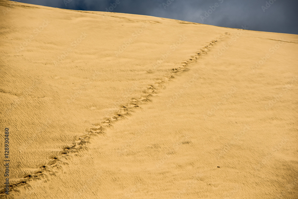 Naklejka premium Steps in time