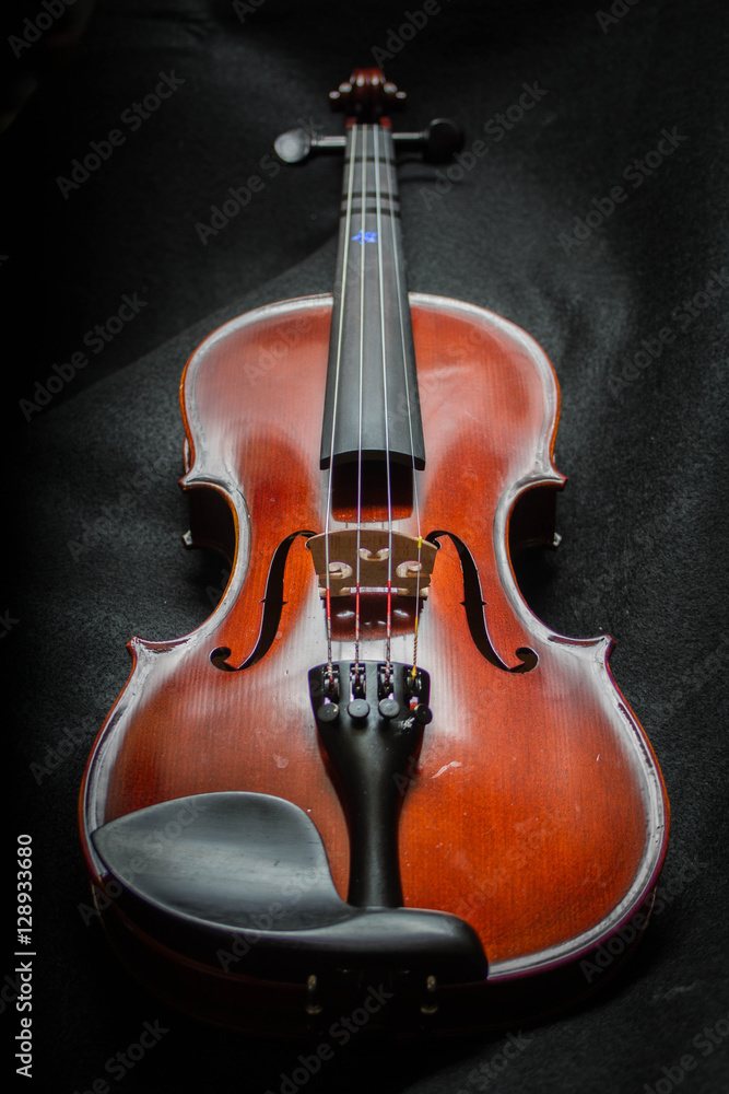 Naklejka premium Second Violin