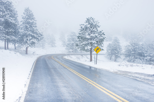 Beautiful winter scene with icy slick road driving situation curving road covered with snow and snowy trees all around